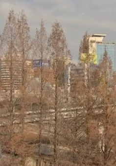 Hàn Quốc xây cầu vượt đi bộ nối chợ Namdaemun và ga Seoul