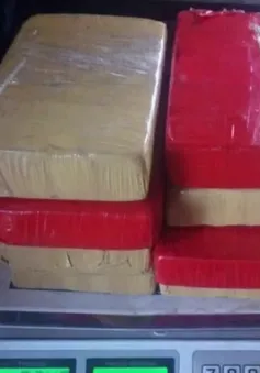 Argentina bắt giữ nhà cựu ngoại giao Bolivia do tàng trữ cocaine