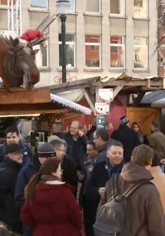 Thăm khu chợ Giáng sinh tại Bruxelles, Bỉ