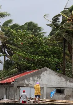 Bão Kammuri đổ bộ vào Philippines