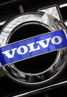 Volvo và BMW đẩy mạnh sản xuất xe hơi điện trong năm 2019