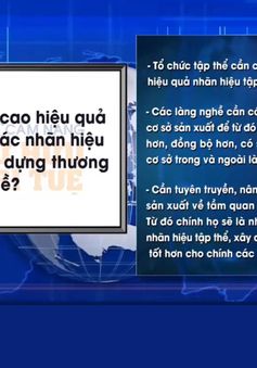 Nâng cao hiệu quả quản lý và khai thác nhãn hiệu tập thể để xây dựng thương hiệu cho làng nghề