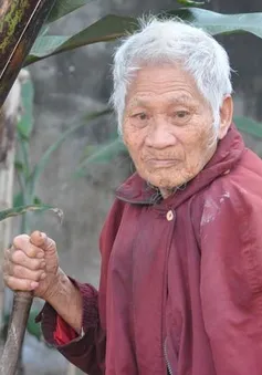Nghẹn đắng cảnh cha già chống gậy đi tìm con trong bụi chuối