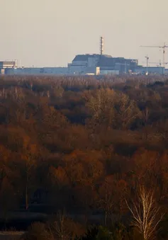 Cháy rừng lớn tại vùng nhiễm xạ ở Chernobyl