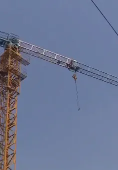 Cần cẩu bỏ không nhiều năm có nguy cơ đổ sập, người Hà Nội sống trong sợ hãi