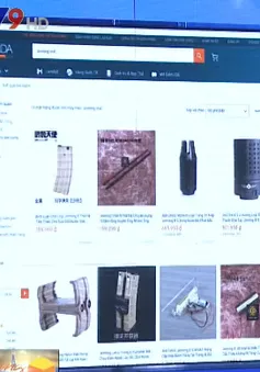 TP.HCM đề nghị kiểm tra việc Lazada bán thiết bị lắp ráp súng