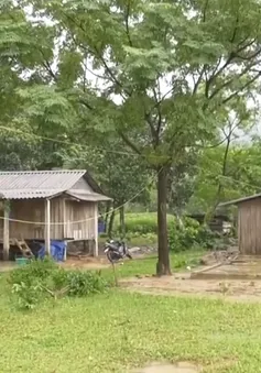 Sau gần 20 năm, làng thanh niên lập nghiệp bộc lộ nhiều hạn chế