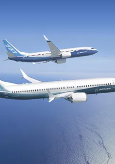 Boeing737 MAX 8 bị ngừng bay sau tai nạn rơi máy bay