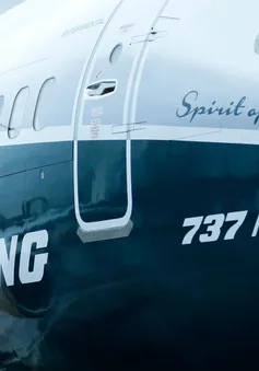 Hàng không Anh ngừng khai thác máy bay Boeing 737 MAX