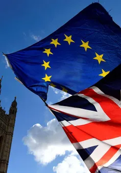 Hôm nay, Hạ viện Anh tiếp tục bỏ phiếu về Brexit