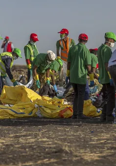 Tai nạn máy bay Ethiopia: Phi công yêu cầu trở lại sân bay 3 phút sau khi cất cánh