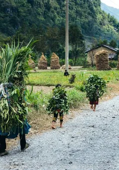 PTL Người quê: Chuyện trên cao nguyên đá