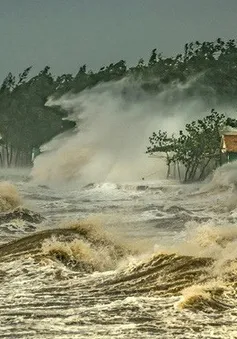 Việt Nam đạt giải Nhất cuộc thi ảnh “Thời tiết và khí hậu khu vực Ủy ban Bão quốc tế”