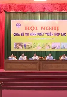 Chia sẻ kinh nghiệm phát triển mô hình hợp tác xã tại ĐBSCL