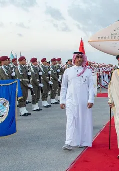 Liên đoàn Arab ra tuyên bố chung về Cao nguyên Golan
