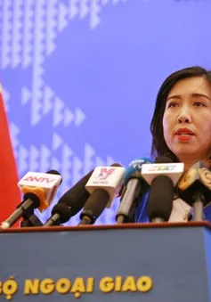 Việt Nam thực hiện mọi biện pháp bảo hộ công dân Đoàn Thị Hương