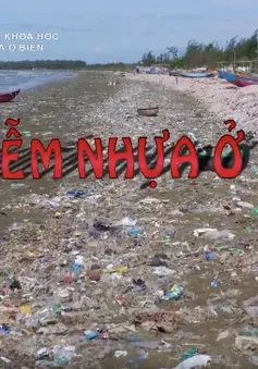 Xem lại những tác phẩm của VTV đạt giải Cánh diều 2018