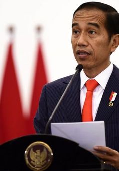Tổng thống Indonesia tuyên bố chiến thắng