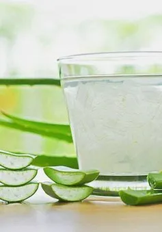 Nha đam - Vị thuốc quý nhưng thận trọng khi sử dụng