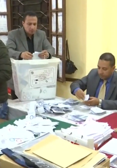 Ai Cập kiểm phiếu trưng cầu dân ý về sửa đổi Hiến pháp