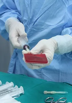 Hơn 750 ca ghép tế bào gốc điều trị bệnh máu thành công