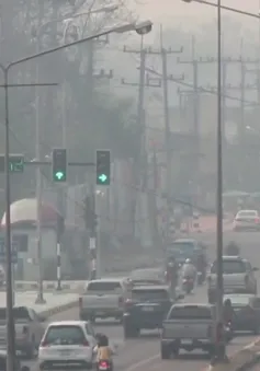 Thủ tướng Thái Lan yêu cầu giảm ô nhiễm không khí trong 7 ngày