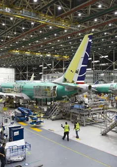 Boeing chịu trách nhiệm về hai vụ rơi máy bay khiến 346 người thiệt mạng