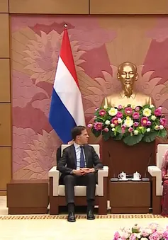 Chủ tịch Quốc hội Nguyễn Thị Kim Ngân hội kiến Thủ tướng Hà Lan Mark Rutte