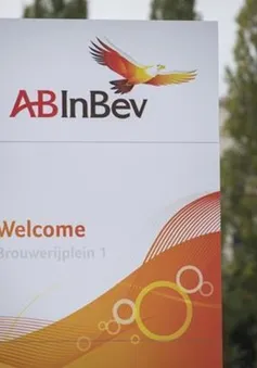 EU phạt 225 triệu USD với hãng bia lớn nhất thế giới AB InBev