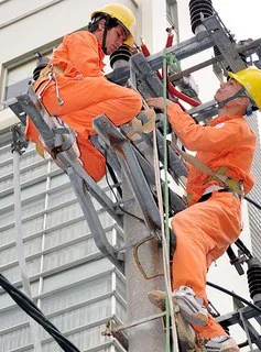 “Sẽ làm rõ vấn đề liên quan đến báo cáo tài chính và giá điện của EVN trong năm 2019”