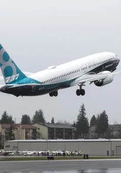 Phi công châu Âu lo ngại khả năng Boeing 737 MAX bay trở lại