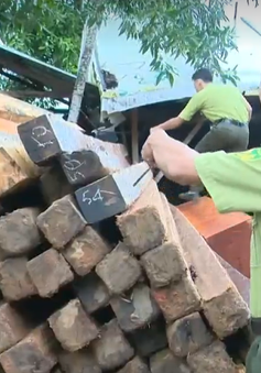 “Cơn sốt” gỗ làm lồng bè thủy sản tại khu vực Nam Trung Bộ