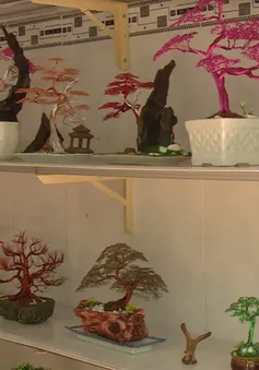 Độc đáo Bonsai làm từ dây đồng