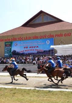 Hấp dẫn sự kiện mùa hè “Vó ngựa Cao nguyên trắng”