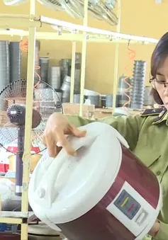 Hàng giả “Made in Vietnam” đe dọa nhiều DN trong nước