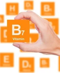 Nhờ cơ chế kiểm soát glucose trong máu, Biotin chứng minh khả năng hỗ trợ điều trị cho bệnh nhân tiểu đường