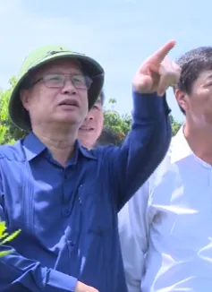 Nhân rộng mô hình nông thôn mới kiểu mẫu ở Lục Ngạn