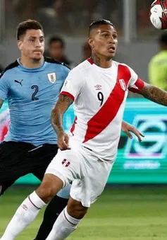 Lịch tứ kết Copa America 2019 ngày 30/6: Uruguay - Peru