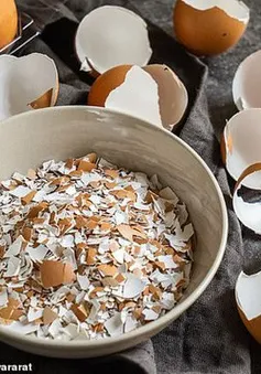 Phát hiện tác dụng chữa bệnh đáng ngạc nhiên của… vỏ trứng