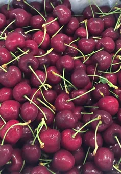 Cherry Mỹ ồ ạt về Việt Nam với giá rẻ