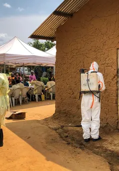 Thành phố lớn nhất CHDC Congo xác nhận bùng phát dịch Ebola