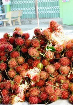 Giá chôm chôm giảm 50%