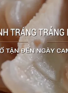 Có gì hấp dẫn làm nên món bánh tráng Trảng Bàng