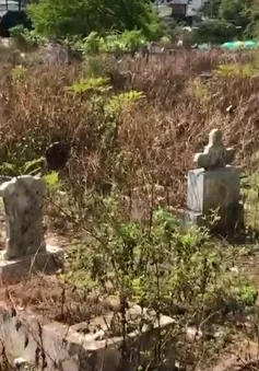 Tình trạng nhếch nhác, mất vệ sinh ở nghĩa trang Bình Hưng Hòa