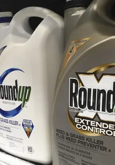 Monsanto tiếp tục đối mặt phán quyết yêu cầu bồi thường