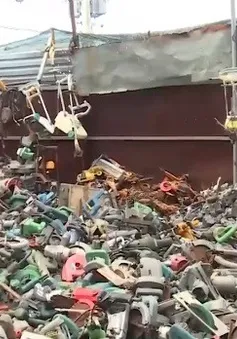 Việt Nam có nguy cơ trở thành điểm đến của rác phế liệu thế giới