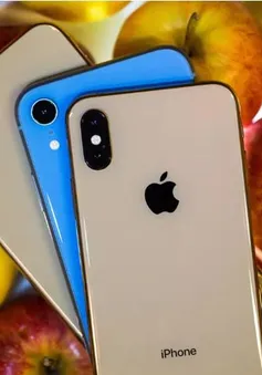 Lãnh án hơn 3 năm tù vì bán hàng chục nghìn chiếc iPhone giả