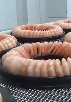 Thông qua đề án “Phòng chống gian lận thương mại trong xuất xứ hàng hóa”