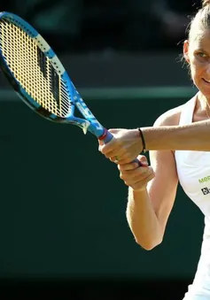 Lịch thi đấu tennis Wimbledon 2019 - đơn nữ ngày 5/7: Su-Wei Hsieh - Karolina Pliskova, Polona Hercog - Cori Gauff...