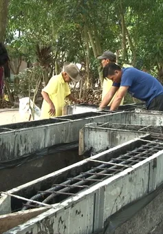 Đội xây cầu từ thiện của những lão nông Đồng Tháp